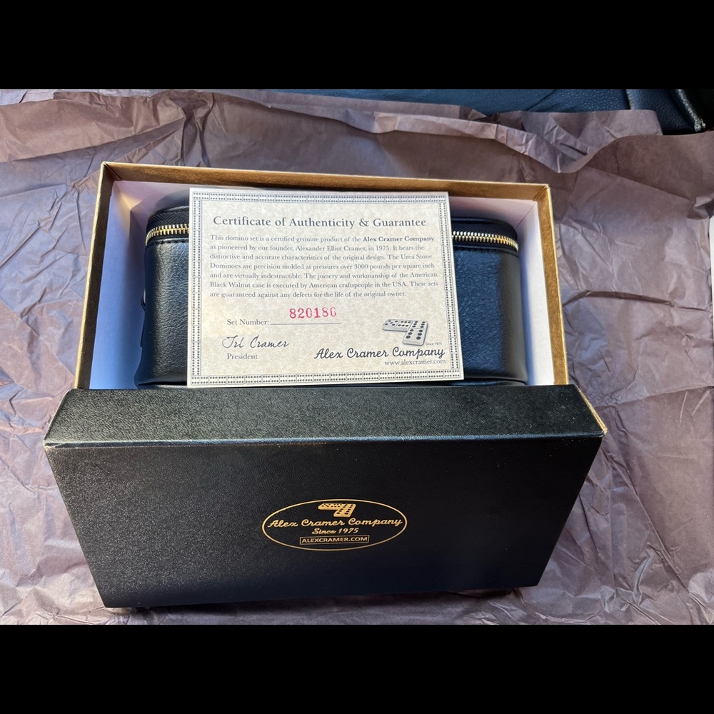 Professional Dominos travel set